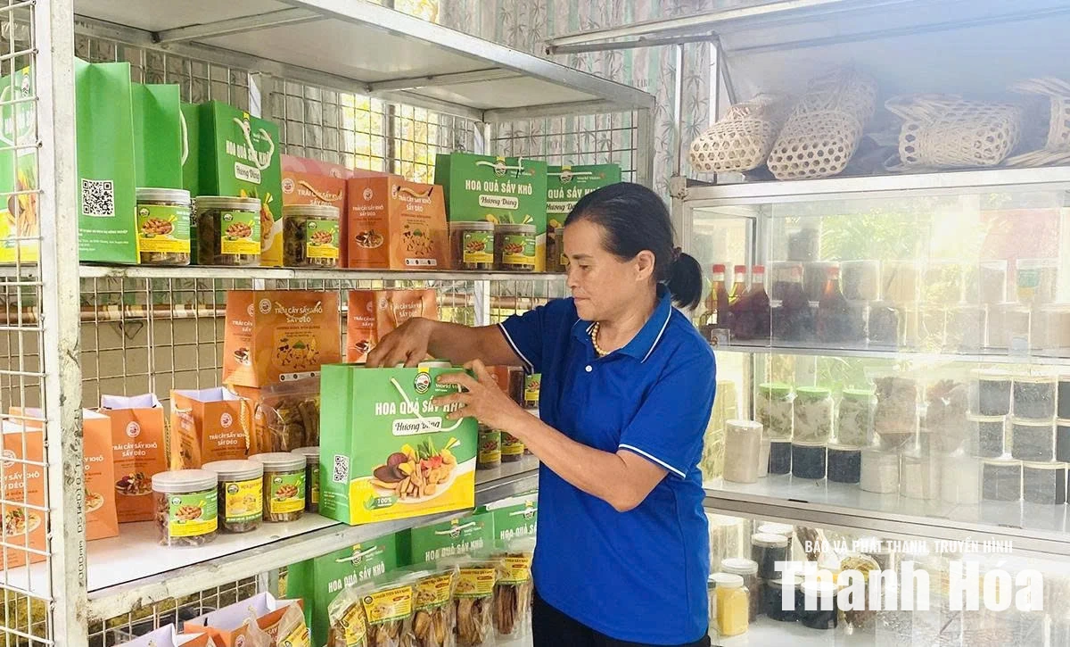 Hóa giải “bài toán” được mùa, mất giá bằng công nghệ