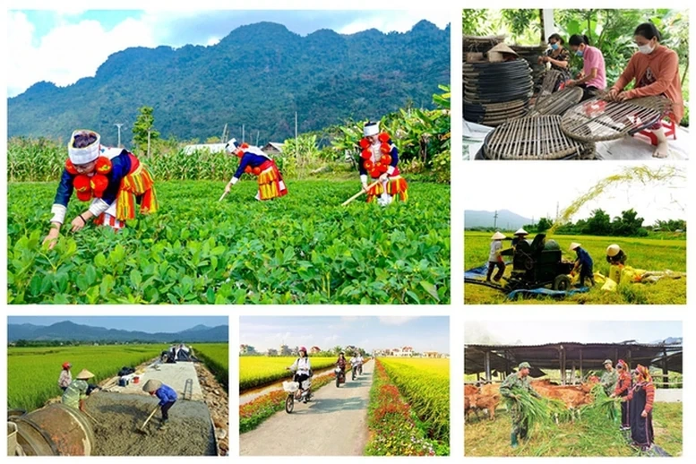 Chính phủ giao kế hoạch đầu tư công vốn ngân sách trung ương cho các bộ, địa phương thực hiện Chương trình MTQG