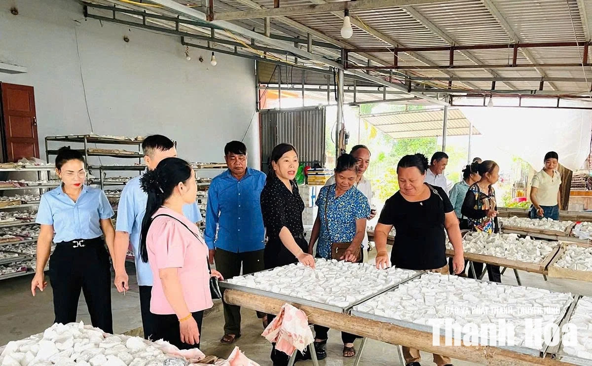 Hội LHPN xã Ngọc Liên giúp hội viên phát triển kinh tế