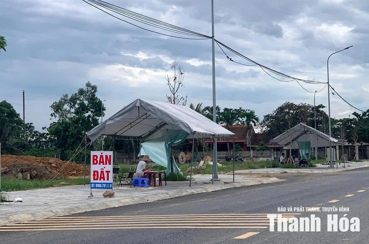 Cảnh báo chiêu trò lừa đảo liên quan đến đất đai