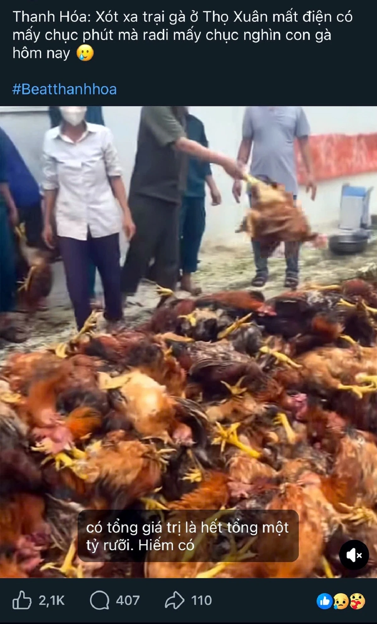 Chủ động xác minh thông tin, nâng cao chất lượng phục vụ khách hàng và bảo vệ uy tín ngành điện