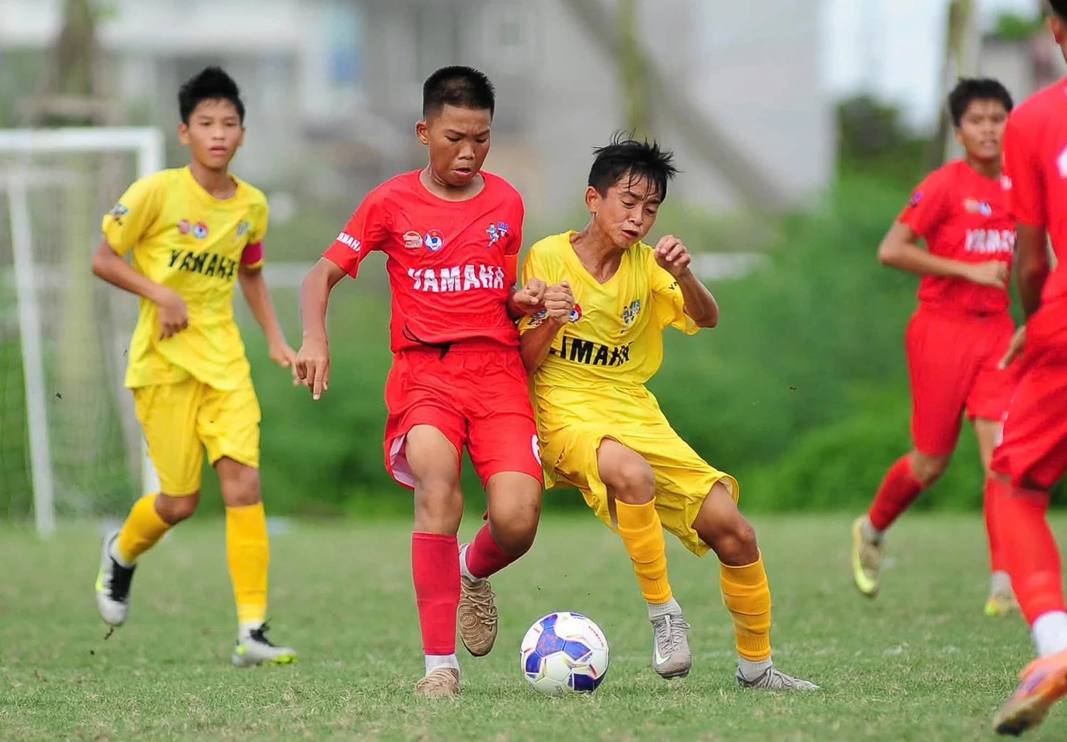 U13 Đông Á Thanh Hóa giành ngôi nhất bảng Giải Bóng đá Thiếu niên toàn quốc 2026