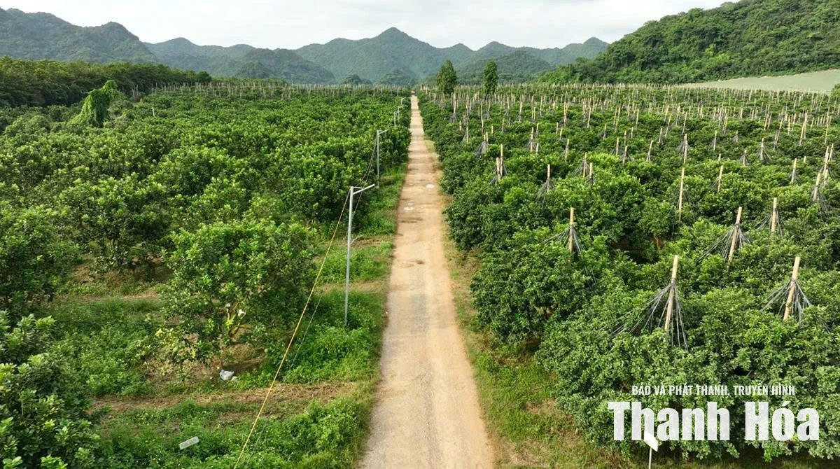 Đòn bẩy cho nông nghiệp hiện đại