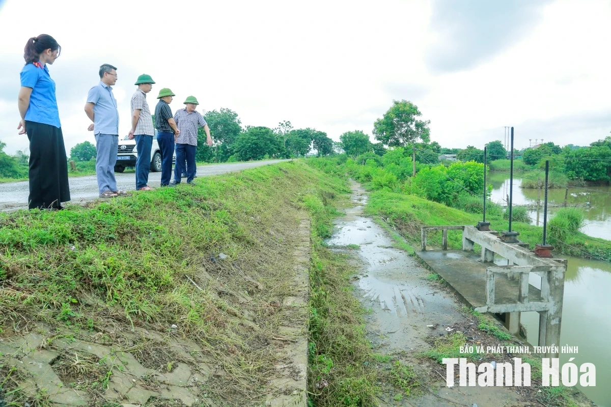 Kiểm tra hệ thống đê điều sông Cầu Chày trước mùa mưa bão