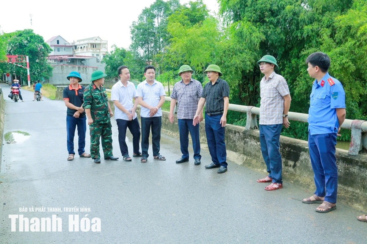 Kiểm tra hệ thống đê điều sông Cầu Chày trước mùa mưa bão