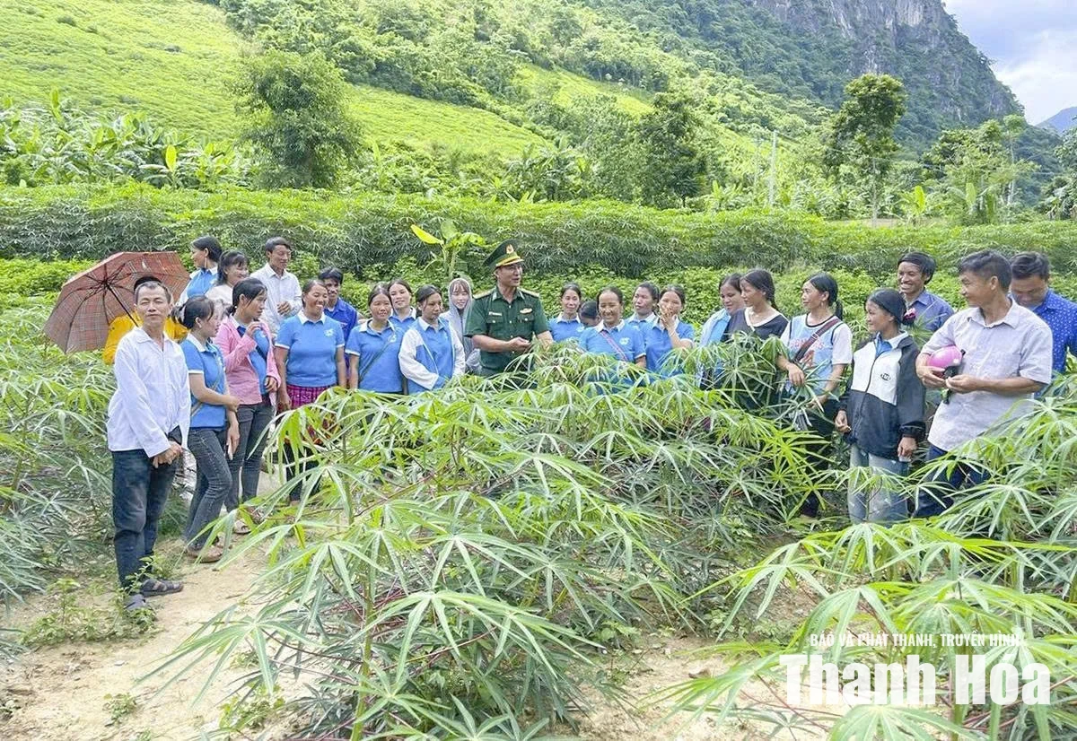 Đánh thức tiềm năng đất đai&nbsp;bằng bản đồ nông hóa