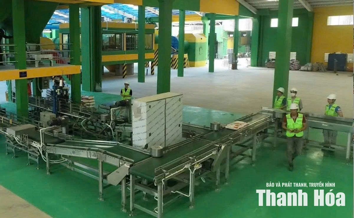 Quyết liệt các giải pháp, hoàn thành cao nhất nhiệm vụ thu ngân sách