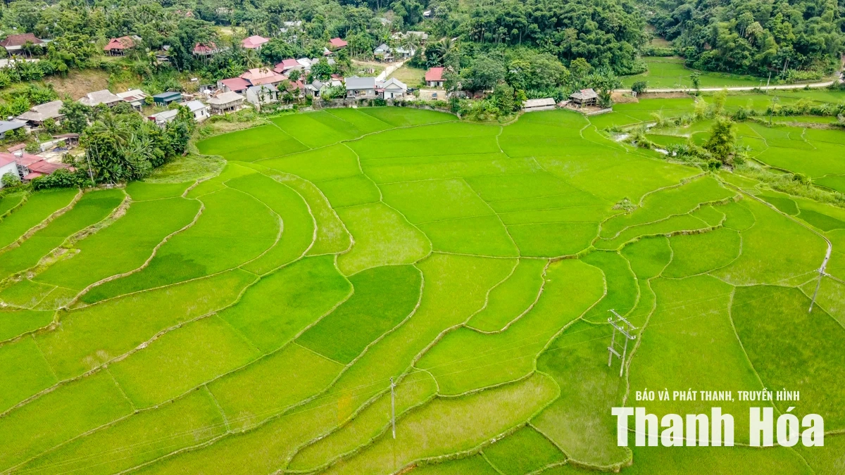 Đánh thức bản Chiềng Ngày bằng du lịch cộng đồng