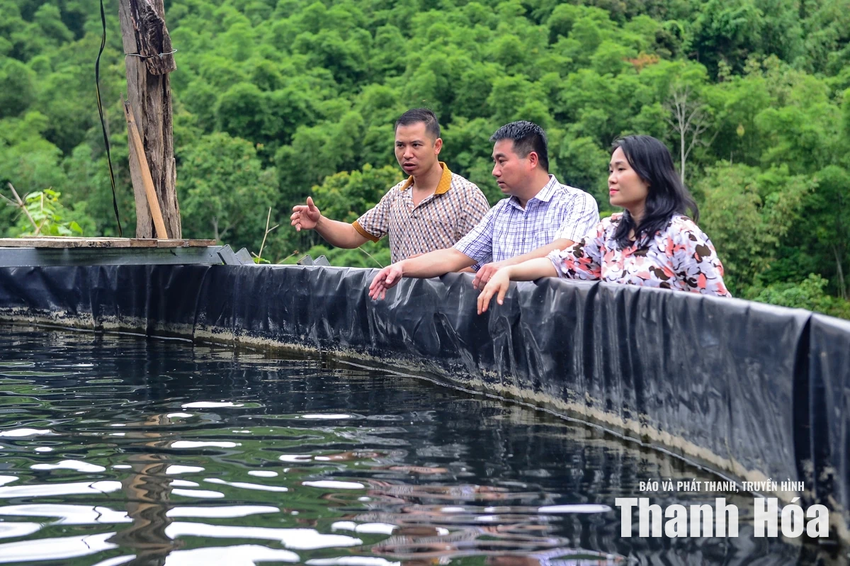 Từ dòng suối lạnh dựng xây thương hiệu cá tầm OCOP