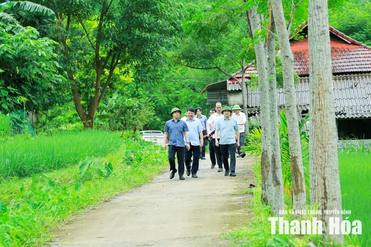 Đoàn công tác của tỉnh kiểm tra thực tế khu vực nước suối Xủ đổi màu