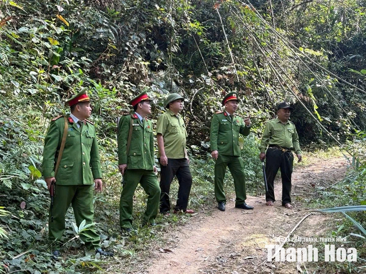 Quyết liệt bảo vệ động vật hoang dã