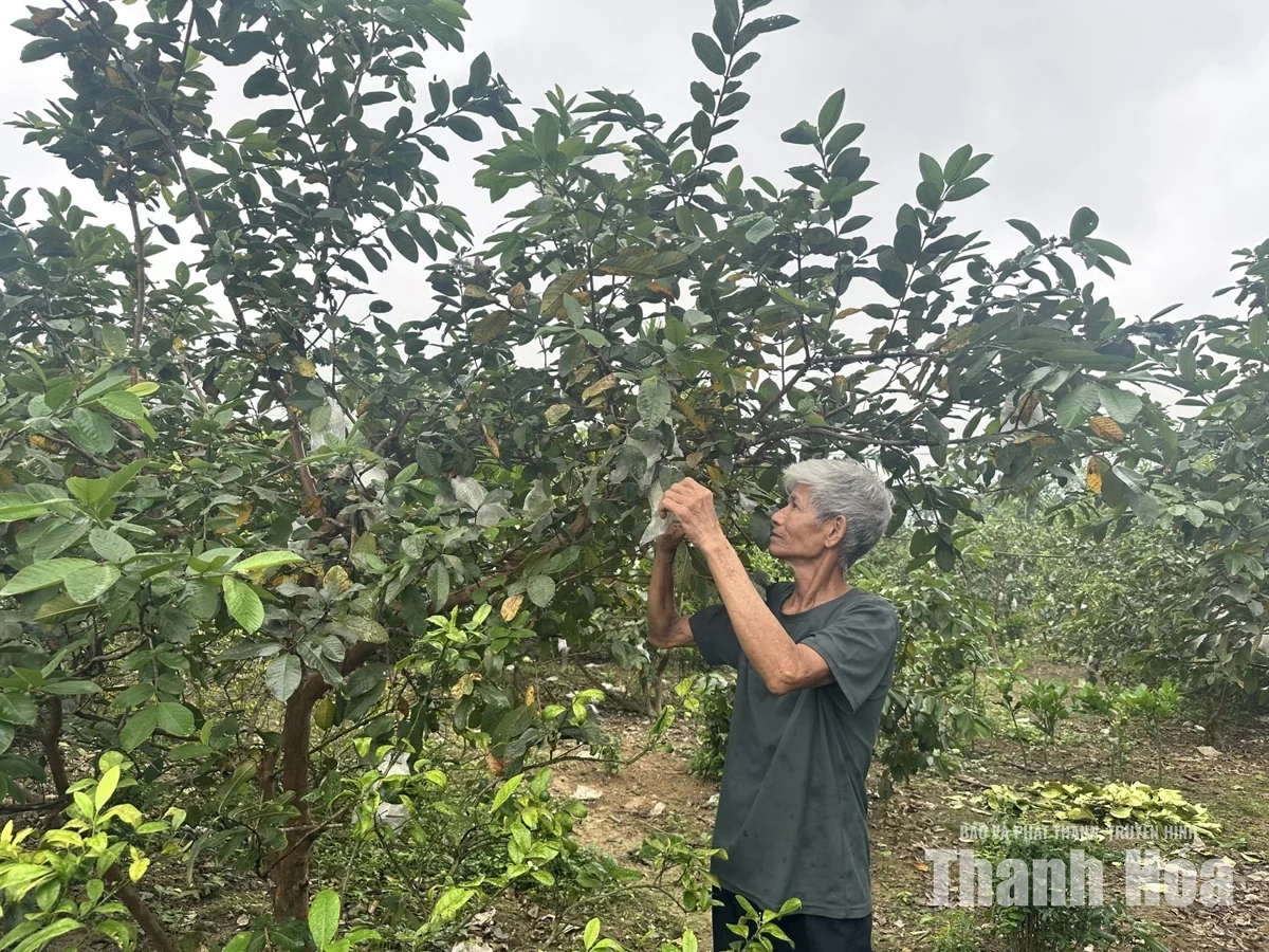 Khơi thông dòng vốn&nbsp;cho phát triển kinh tế địa phương