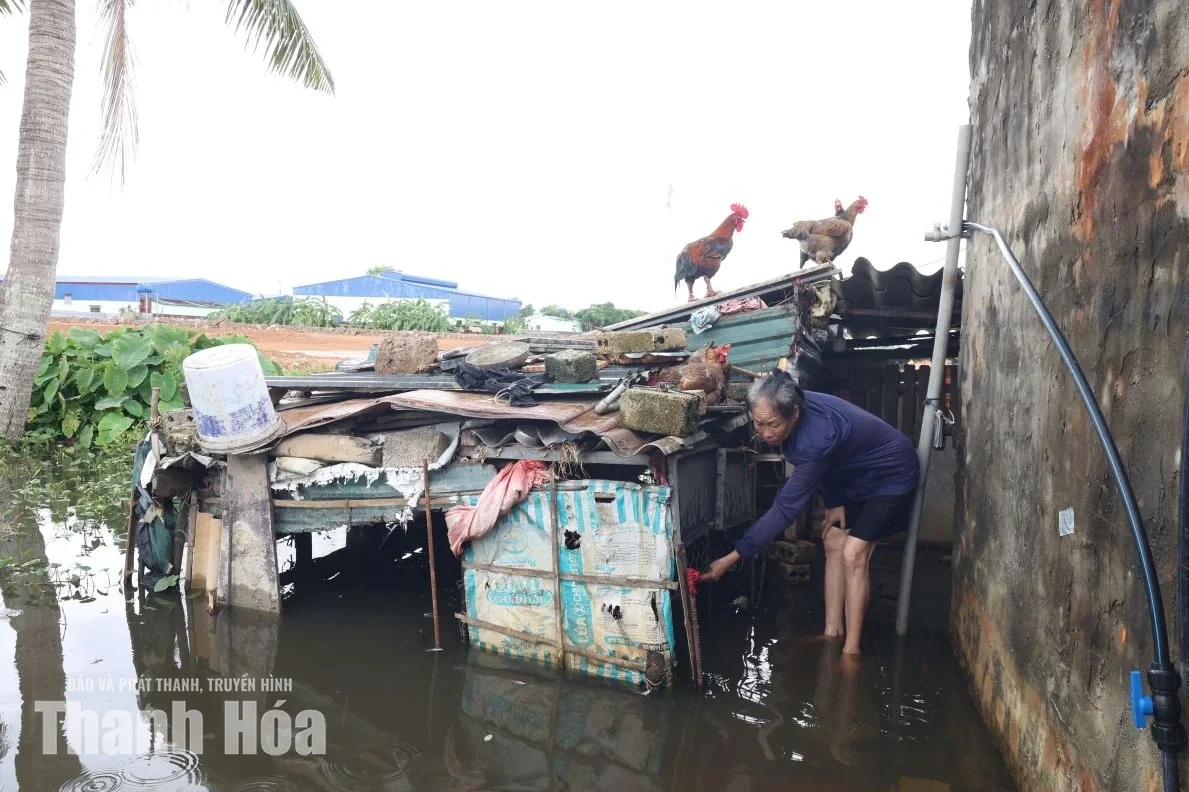 Không để người dân sống trong cảnh ngập nước khi chờ tái định cư