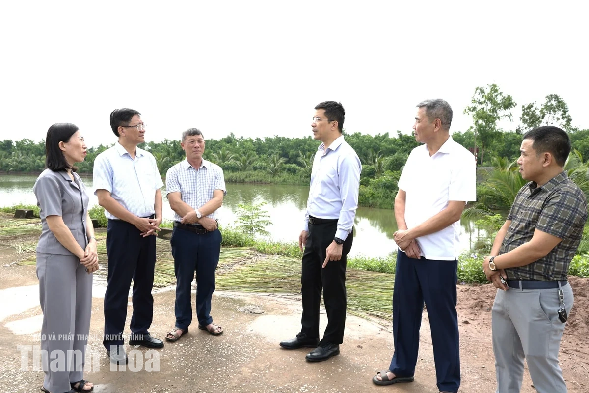 Chủ động tháo gỡ “điểm nghẽn”, tạo động lực để xã Tân Tiến&nbsp;phát triển