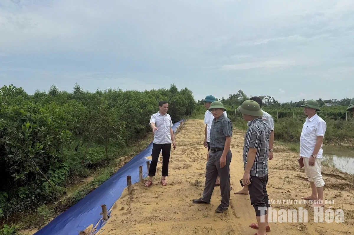 Sẵn sàng phương án ứng phó ngập lụt, đảm bảo an toàn công trình đê điều