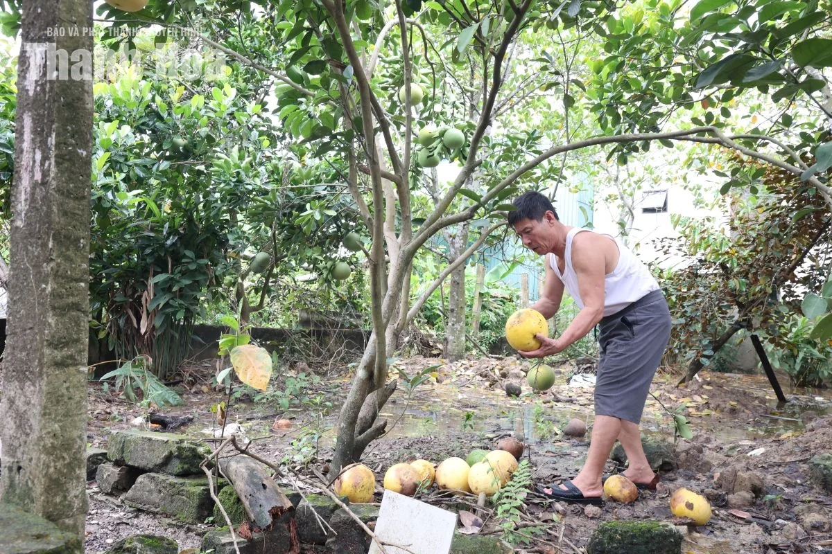 Không để người dân sống trong cảnh ngập nước khi chờ tái định cư