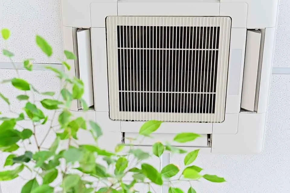 Nắng nóng và khói cháy rừng đặt ra bài toán khó về chất lượng không khí trong nhà