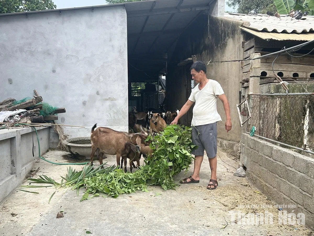 Người thương binh gieo nghị lực làm giàu