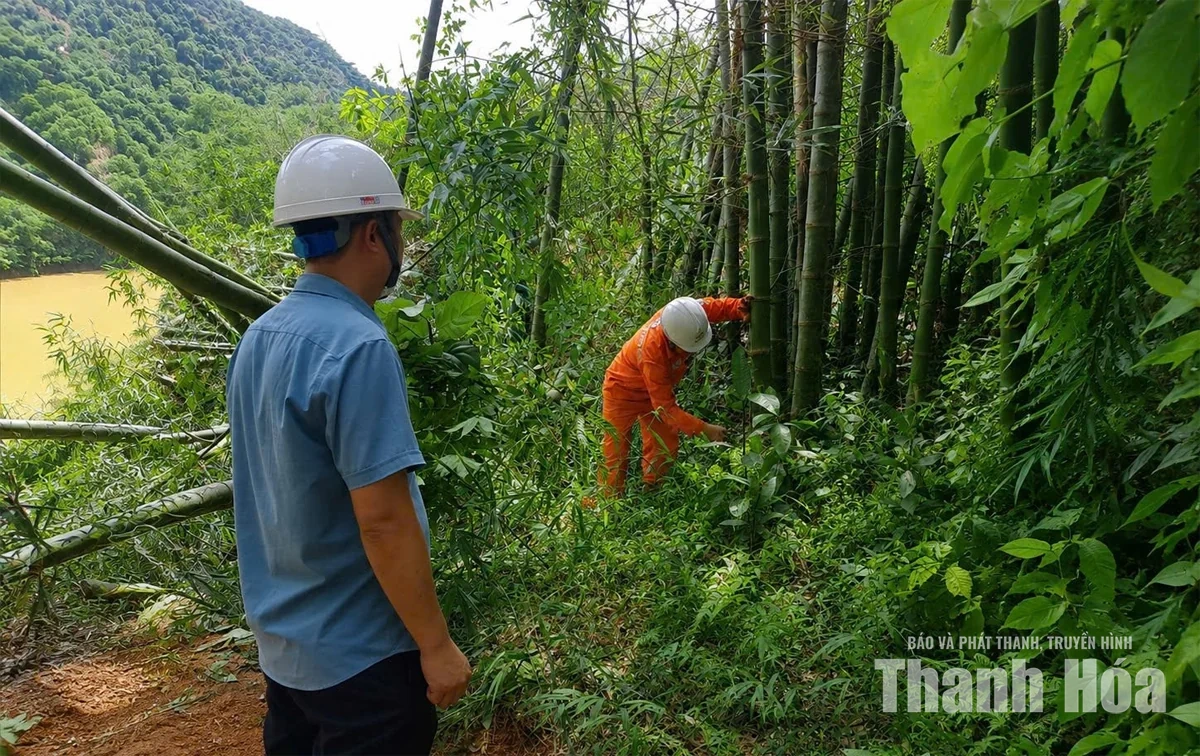 Đảm bảo an toàn hành lang lưới điện mùa mưa bão ở miền núi