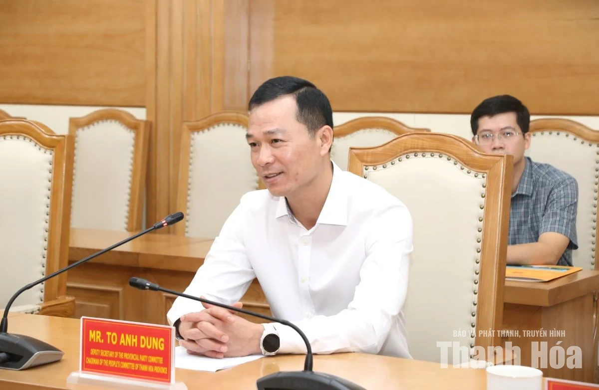 Chủ tịch UBND tỉnh Tô Anh Dũng làm việc với StaBOO Holding AG về dự án ván tre ép