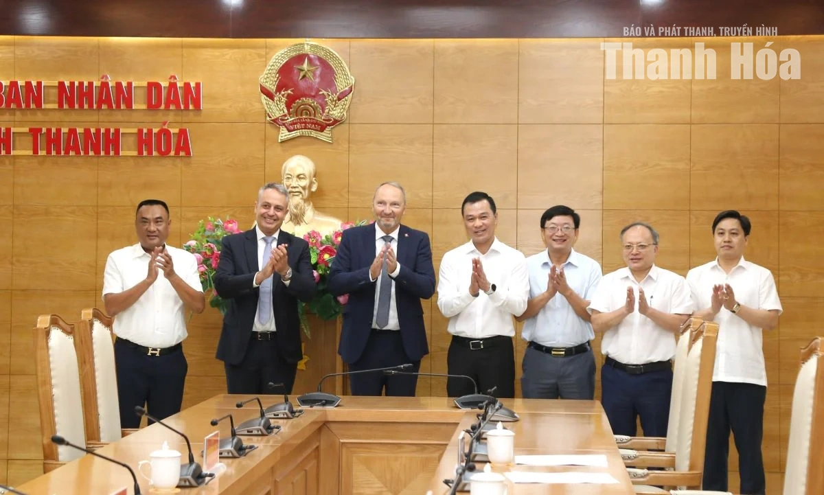 Chủ tịch UBND tỉnh Tô Anh Dũng làm việc với StaBOO Holding AG về dự án ván tre ép