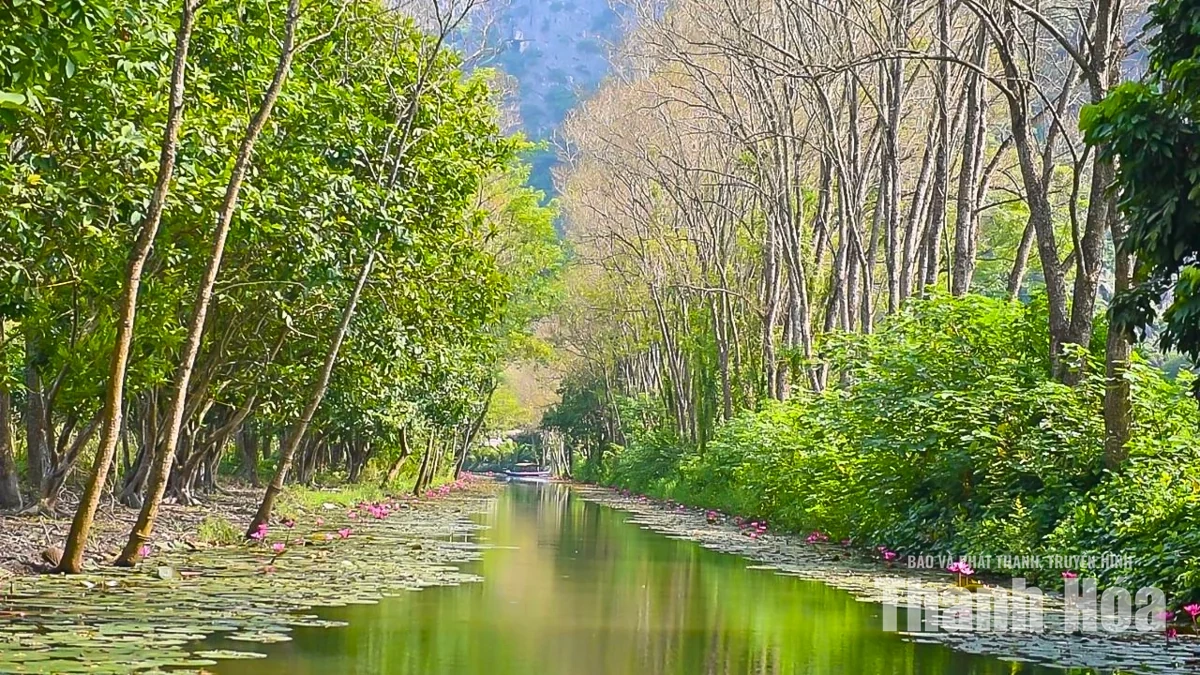Khám phá danh thắng Kim Sơn vào mùa đẹp nhất trong năm