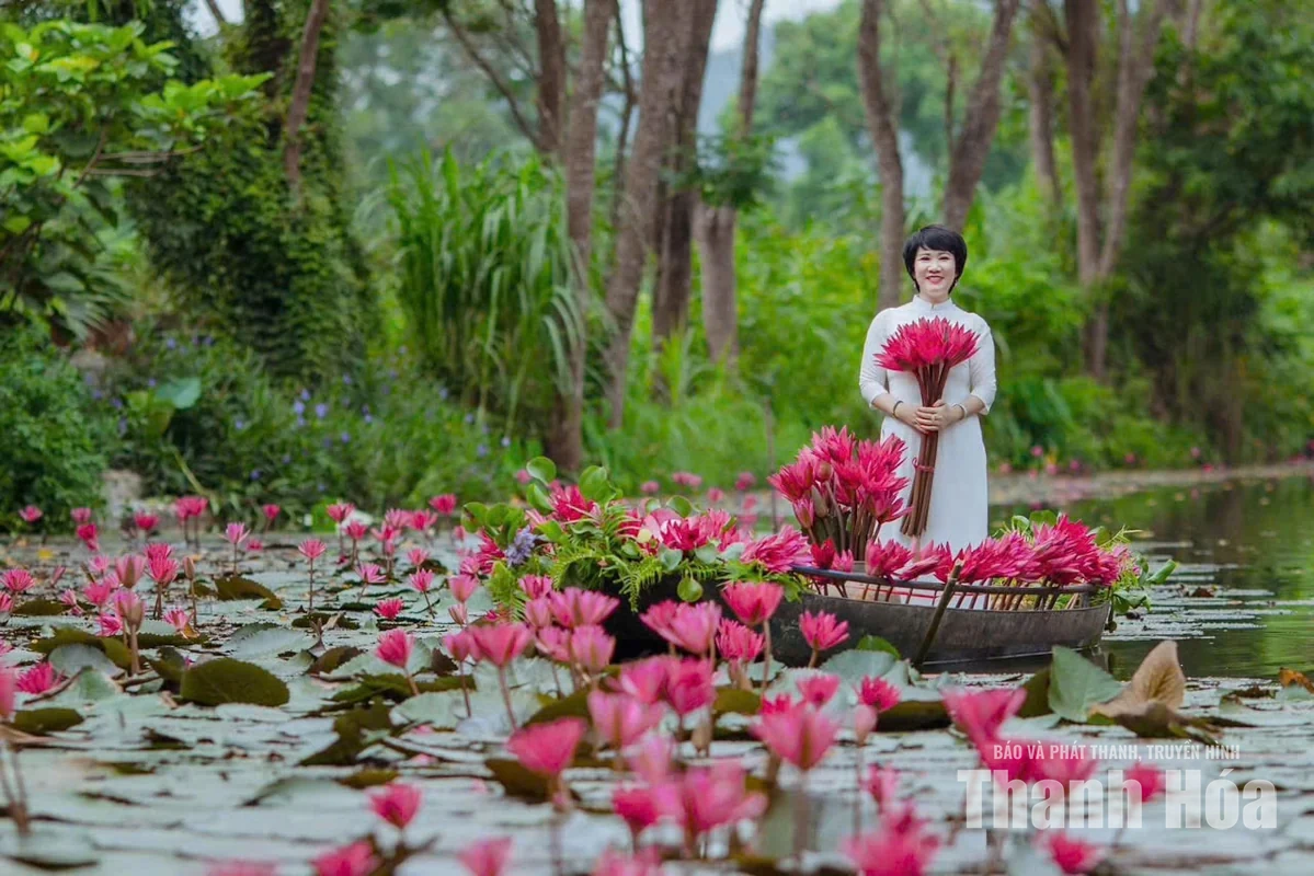 Khám phá danh thắng Kim Sơn vào mùa đẹp nhất trong năm