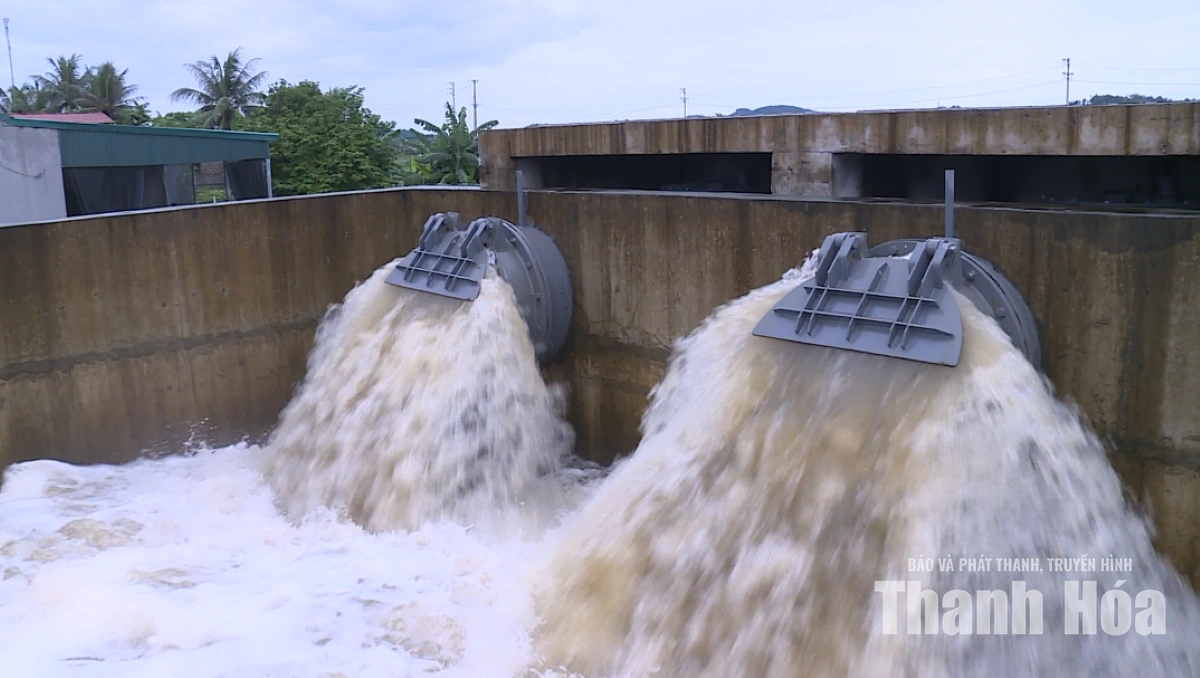 Mưa lớn gây ngập hơn 535ha đất nông nghiệp