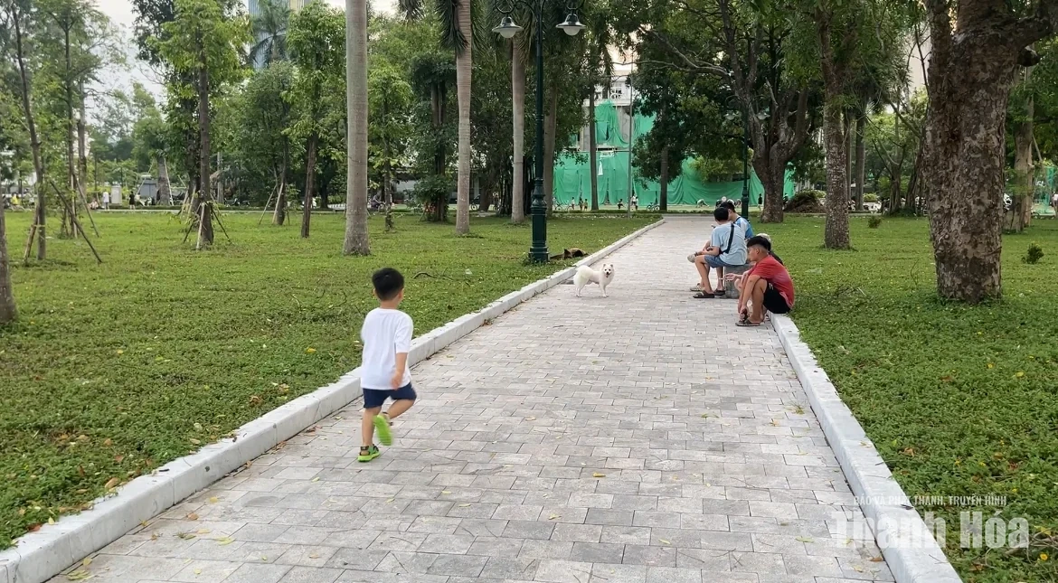 Phạt tới 2 triệu đồng, vẫn còn tình trạng chó thả rông không rọ mõm