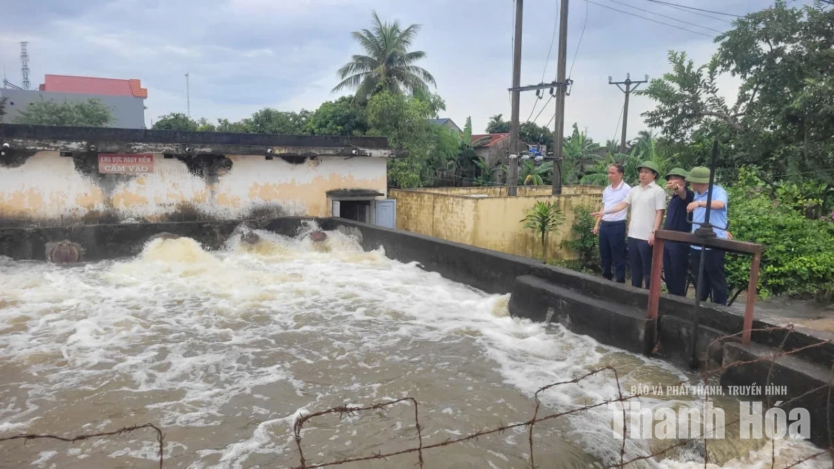 Thanh Hóa chủ động tiêu úng, bảo vệ sản xuất nông nghiệp