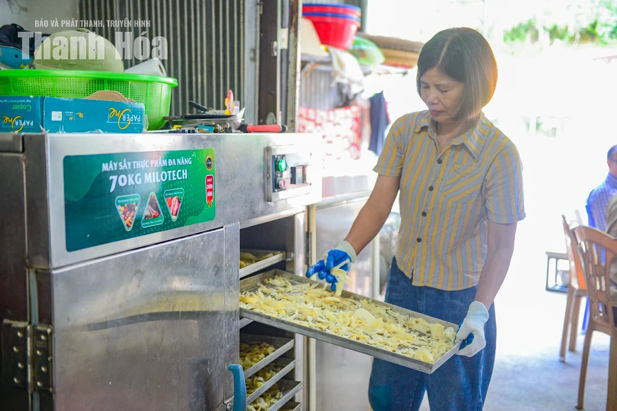 Từ món ăn chống đói trở thành sinh kế của đồng bào xã vùng cao