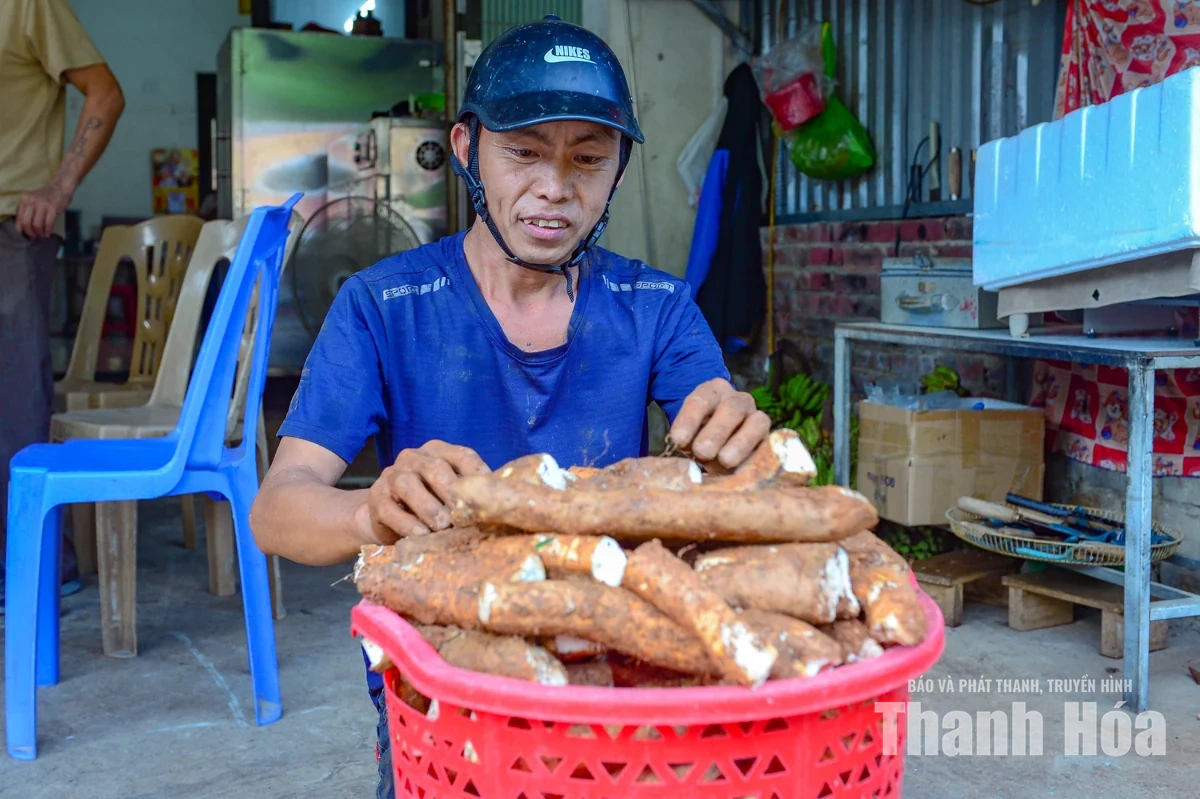 Từ món ăn chống đói trở thành sinh kế của đồng bào xã vùng cao