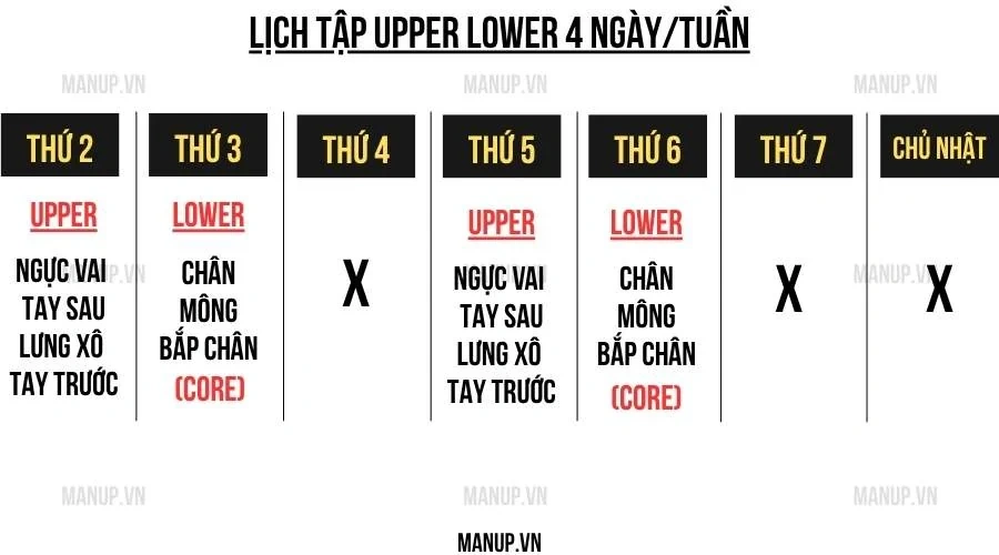 Lịch tập Upper Lower 4 buổi giúp tăng cơ cân đối cho người bận rộn