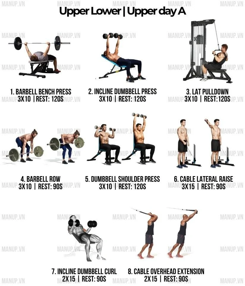 Lịch tập Upper Lower 4 buổi giúp tăng cơ cân đối cho người bận rộn