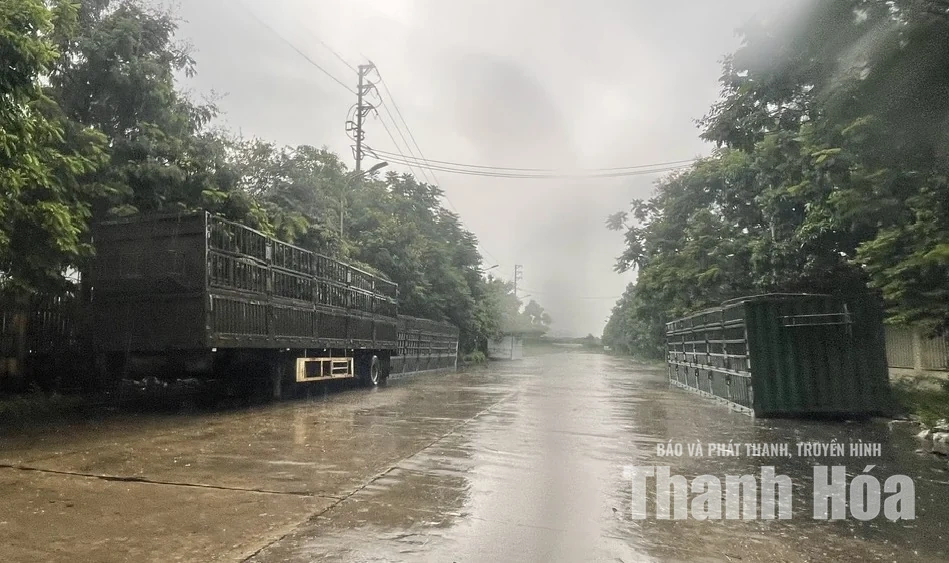 Trật tự, mỹ quan đô thị - Những “cái gai trong mắt”: Một vòng qua các tuyến đường trong KCN Đình Hương - Tây Bắc Ga