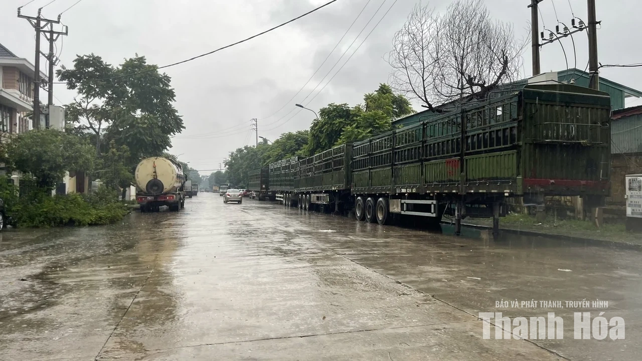 Trật tự, mỹ quan đô thị - Những “cái gai trong mắt”: Một vòng qua các tuyến đường trong KCN Đình Hương - Tây Bắc Ga