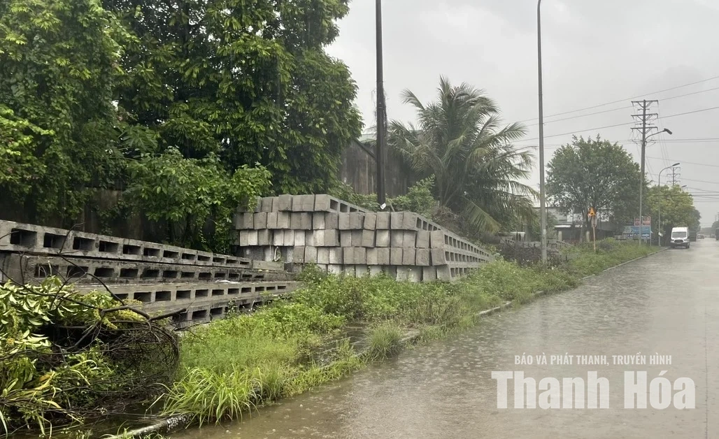 Trật tự, mỹ quan đô thị - Những “cái gai trong mắt”: Một vòng qua các tuyến đường trong KCN Đình Hương - Tây Bắc Ga