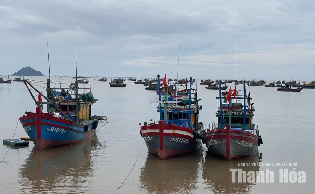 Vạn Lộc khai thác hiệu quả&nbsp;tiềm năng thủy, hải sản