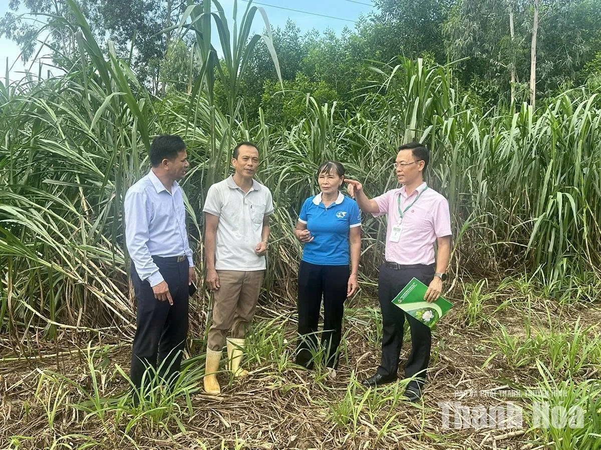 Bảo đảm an sinh xã hội&nbsp;từ chương trình cho vay hỗ trợ việc làm