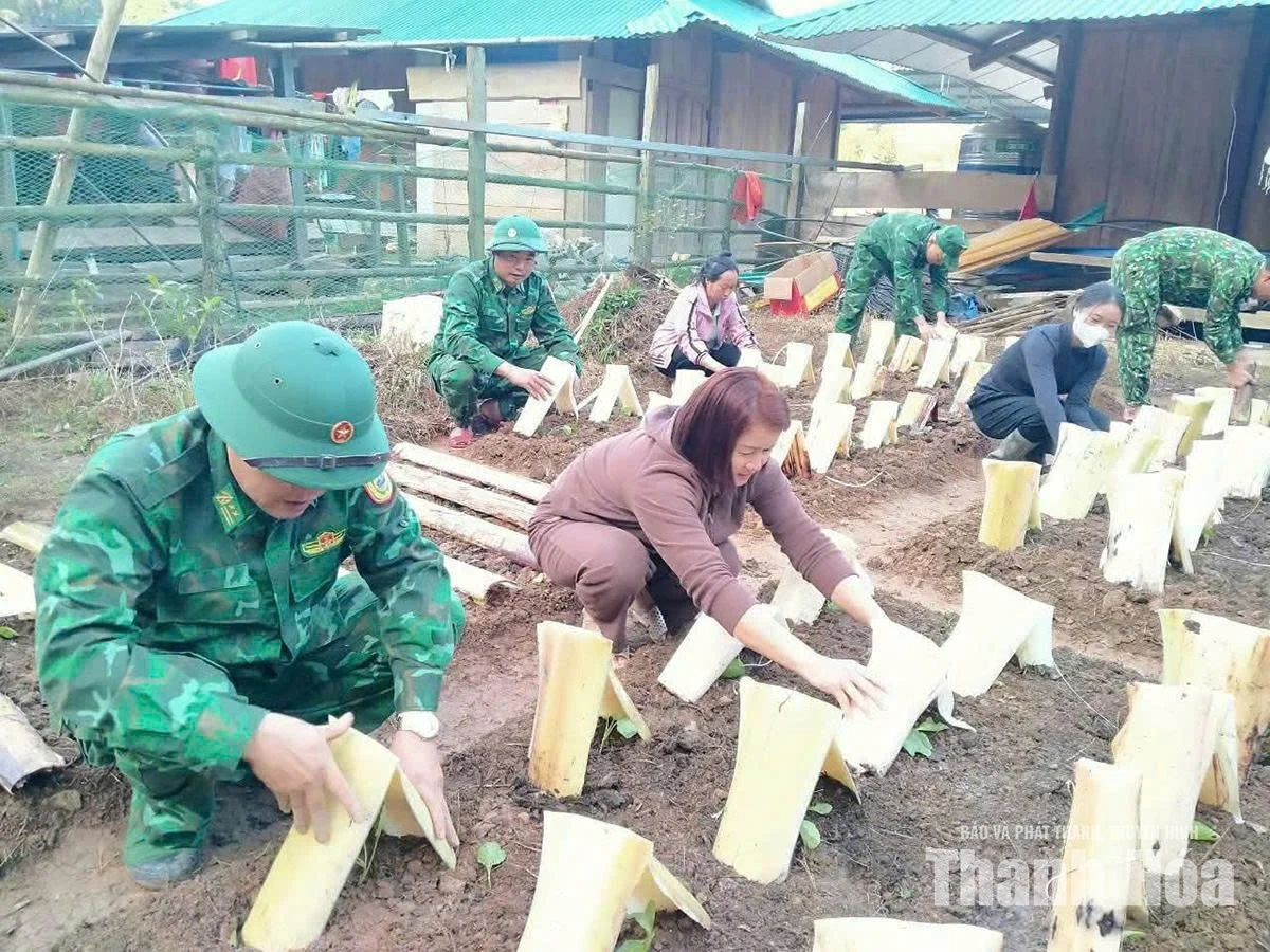 Ánh sáng ở “nơi tận cùng” Tam Chung