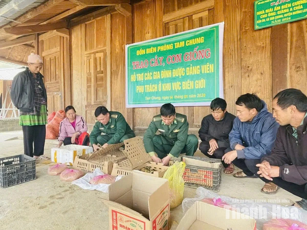 Ánh sáng ở “nơi tận cùng” Tam Chung