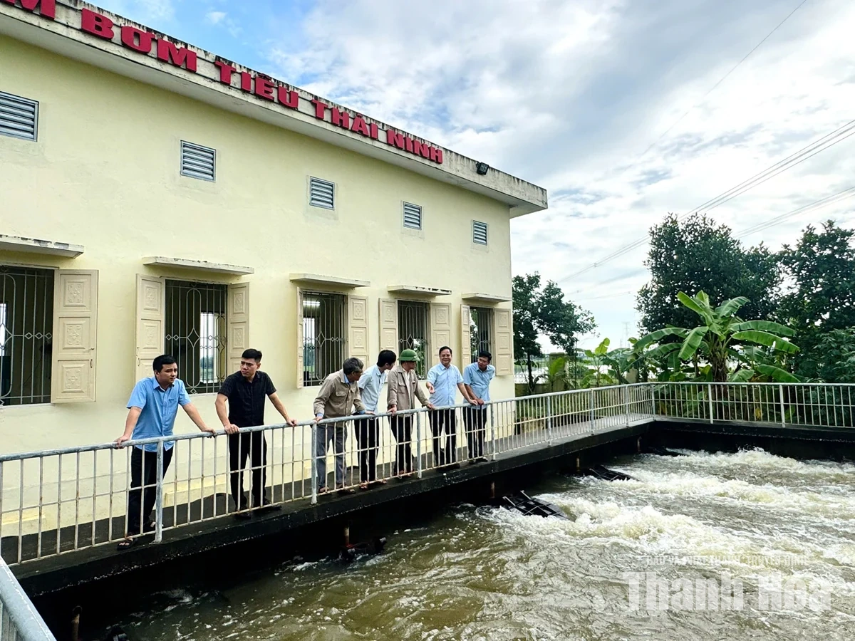Chủ động tiêu úng bảo vệ sản xuất