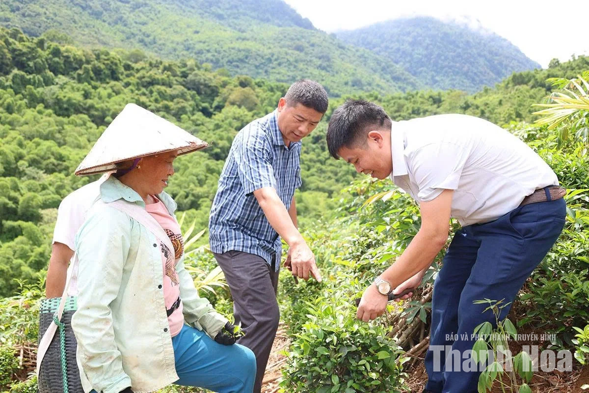 Đa dạng sinh kế,&nbsp;giảm nghèo ở Trung Hạ
