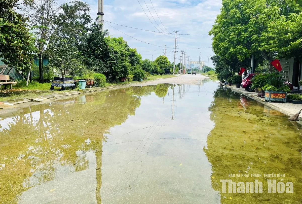 Trật tự, mỹ quan đô thị - Những “cái gai trong mắt”: Người dân phố Bắc Sơn 1 khổ vì “đường thành sông”
