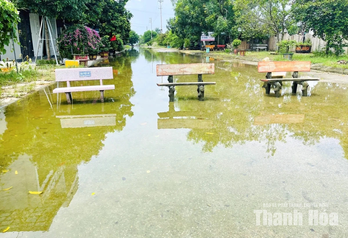 Trật tự, mỹ quan đô thị - Những “cái gai trong mắt”: Người dân phố Bắc Sơn 1 khổ vì “đường thành sông”