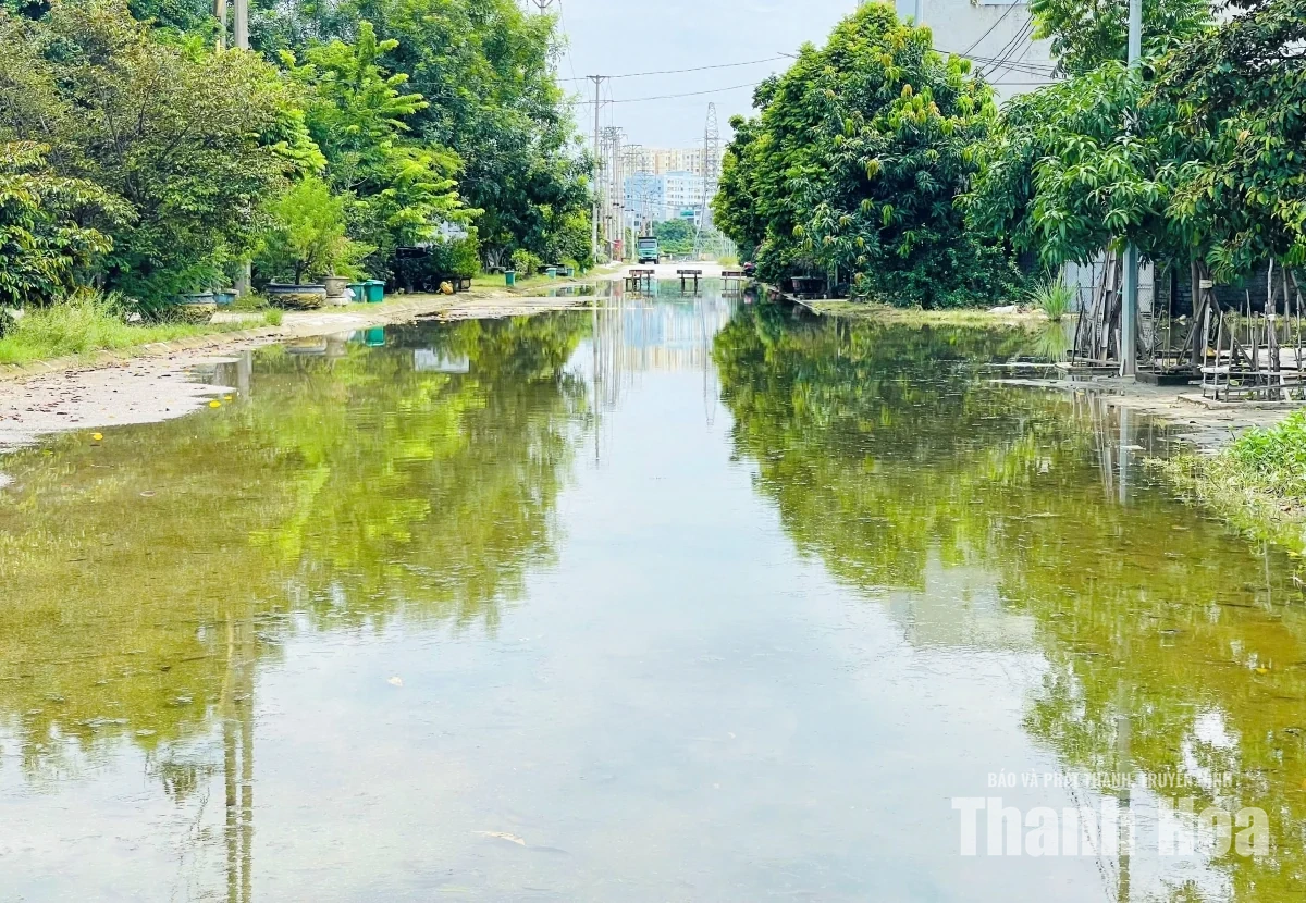 Trật tự, mỹ quan đô thị - Những “cái gai trong mắt”: Người dân phố Bắc Sơn 1 khổ vì “đường thành sông”