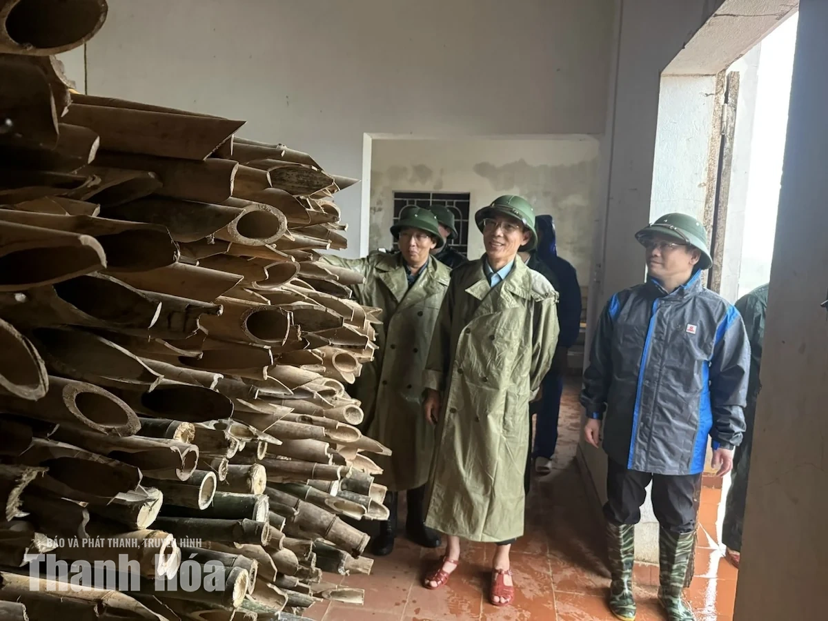 Phó Chủ tịch UBND tỉnh Đầu Thanh Tùng kiểm tra, chỉ đạo công tác ứng phó với mưa bão