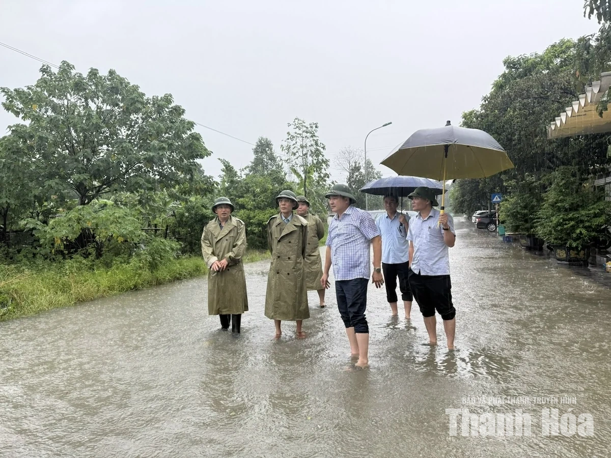 Phó Chủ tịch UBND tỉnh Đầu Thanh Tùng kiểm tra, chỉ đạo công tác ứng phó với mưa bão