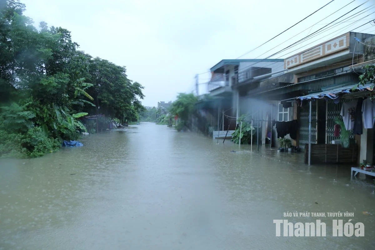 Kiểm tra công tác ứng phó với mưa bão trên địa bàn các phường Hạc Thành, Nguyệt Viên