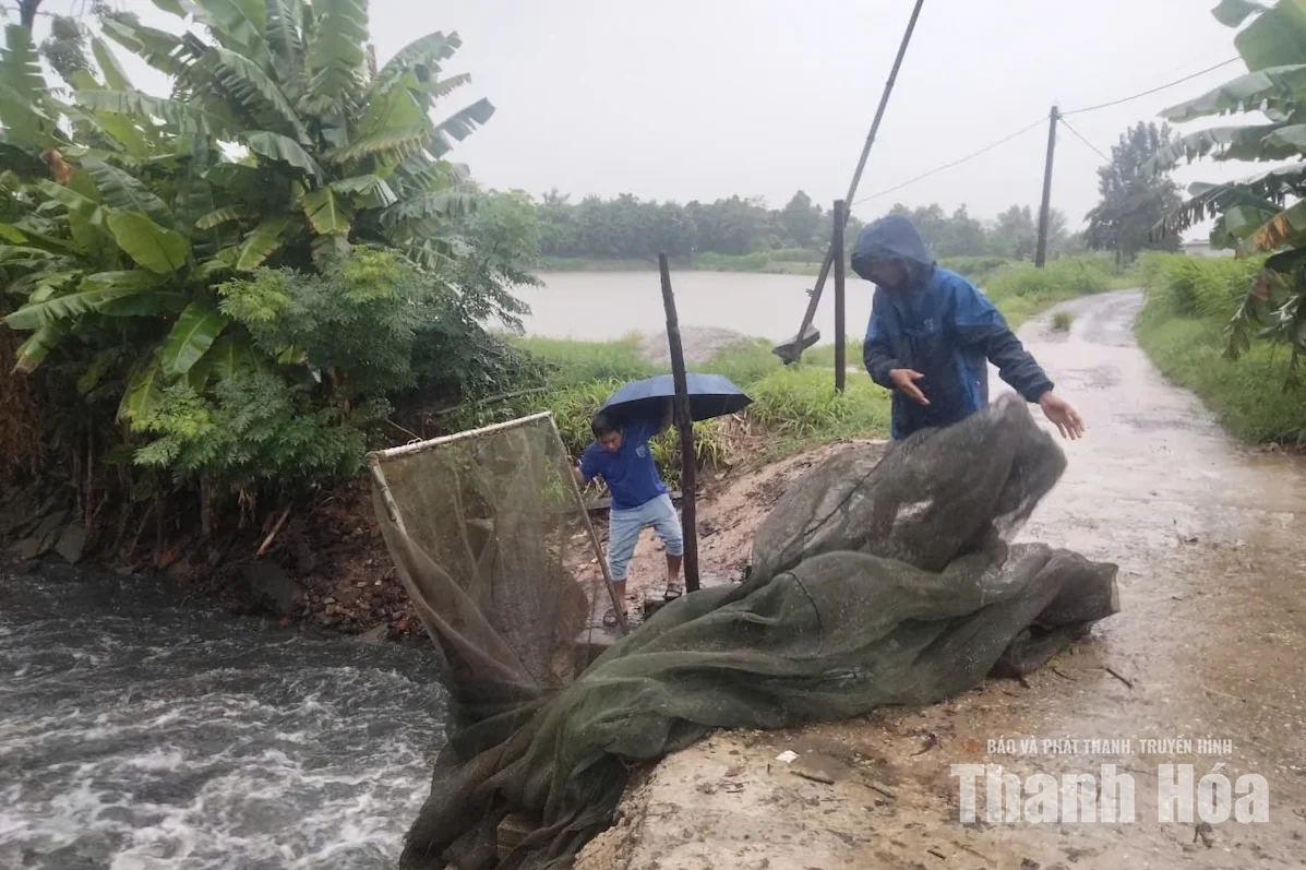 Các lực lượng phối hợp ứng phó ngập úng trên địa bàn phường Sầm Sơn và Nguyệt Viên